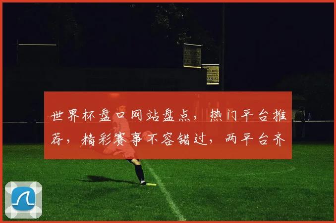 世界杯盘口网站盘点，热门平台推荐，精彩赛事不容错过，两平台齐发