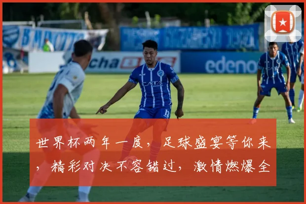 世界杯两年一度，足球盛宴等你来，精彩对决不容错过，激情燃爆全场