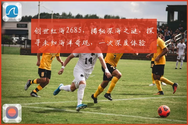 创世红海2685，揭秘深海之谜，探寻未知海洋奇观，一次深度体验